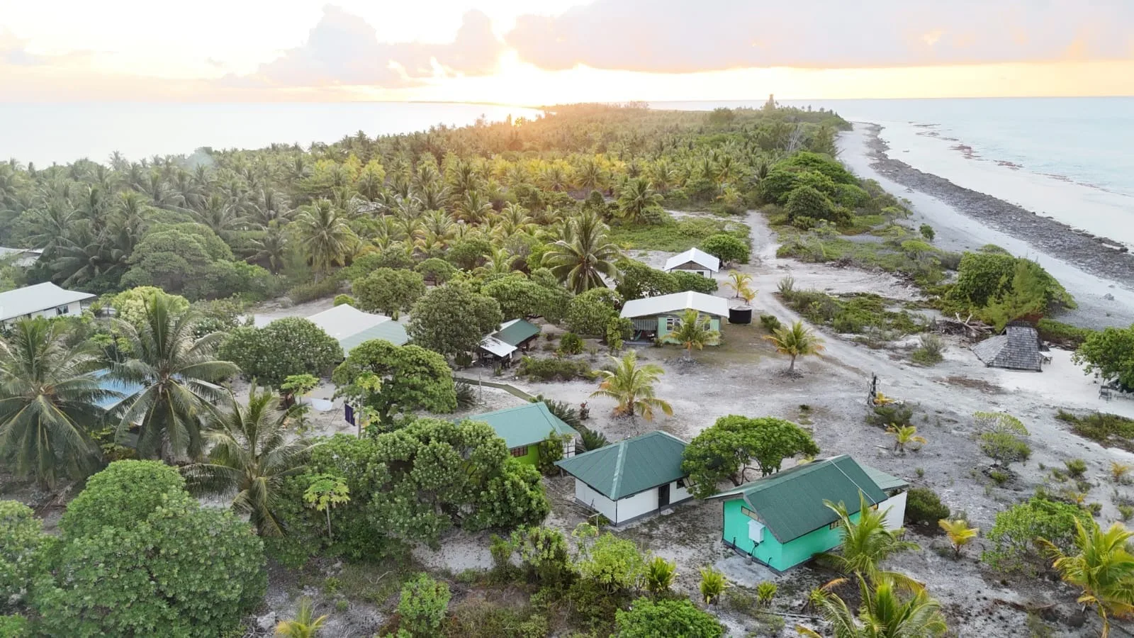 Le lodge au milieu des cocotiers